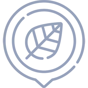 Leaf icon representing a calm and comfortable workspace